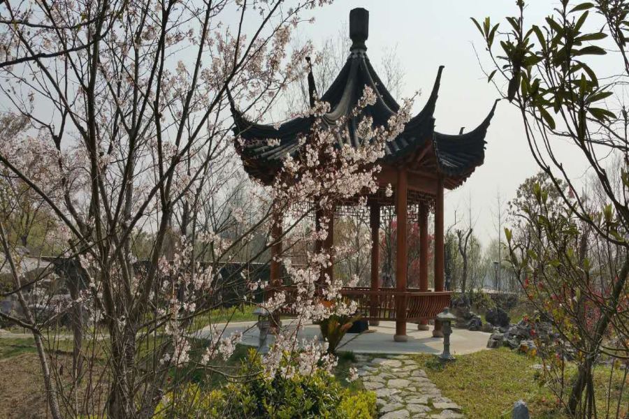 Taoyuan Shuixiang Hotel 崇明 外观 照片
